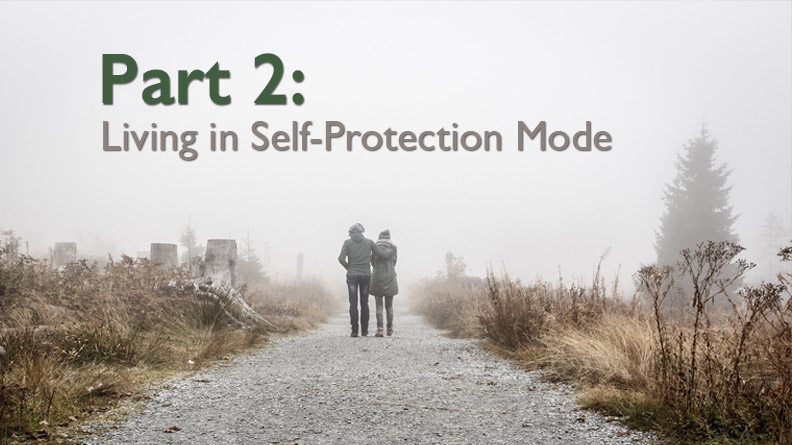 How We Protect Ourselves From Pain